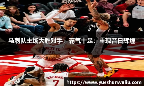 VSport-胜利因您更精彩