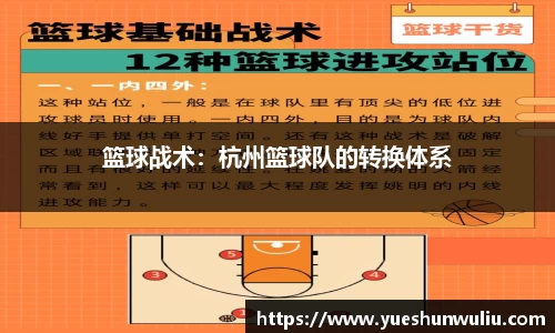 V体育