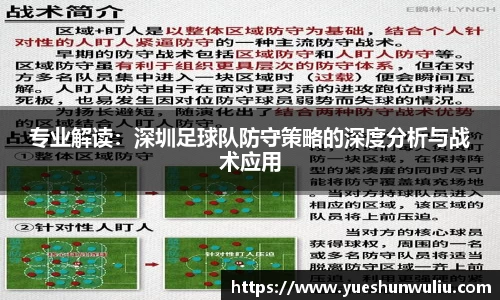 V体育