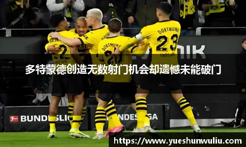 VSport-胜利因您更精彩