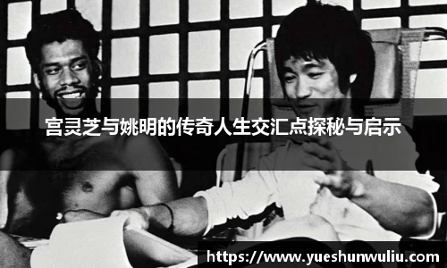 VSport-胜利因您更精彩