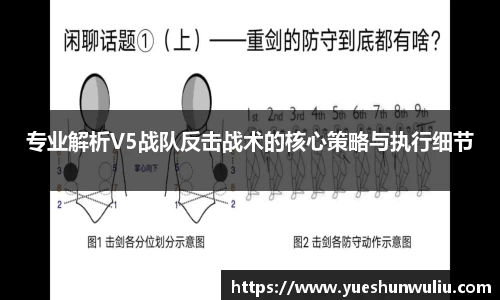 V体育