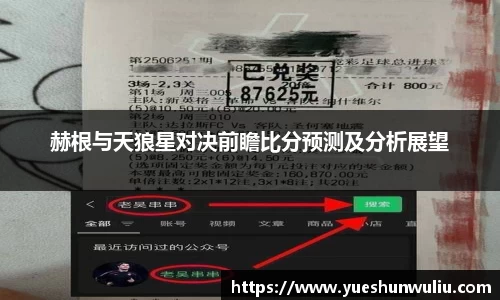 V体育