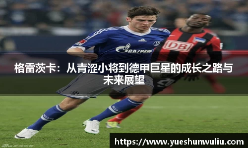 VSport-胜利因您更精彩