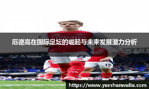 VSport-胜利因您更精彩