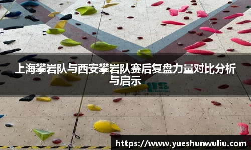 V体育