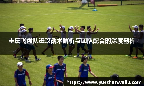 重庆飞盘队进攻战术解析与团队配合的深度剖析