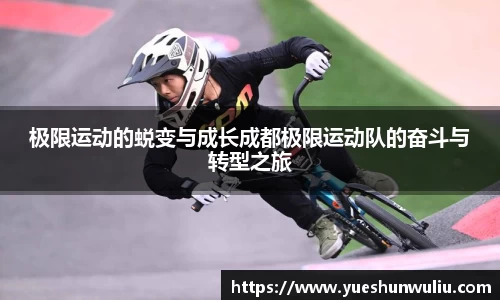 VSport-胜利因您更精彩